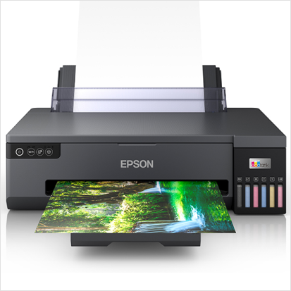 EPSON 118050
